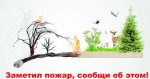 Сообщи в случае обнаружения лесного пожара 