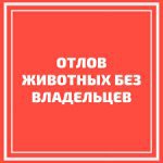 Информация о собаках без владельцев (01 июля 2022 года)