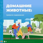 ДОМАШНИЕ ЖИВОТНЫЕ: правила содержания