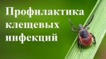 Профилактика клещевого энцефалита