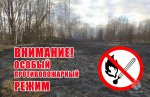 Постановлением Правительства Свердловской области от 11.04.2024 № 244-ПП «Об установлении особого противопожарного режима на территории Свердловской области» на территории Свердловской области введен особый противопожарный режим