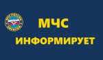 На 23 августа 2024 года на территории ОНД и ПР Камышловского ГО, Камышловского МР, Пышминского ГО УНДиПР ГУ МЧС России  по Свердловской области произошло 96 пожаров